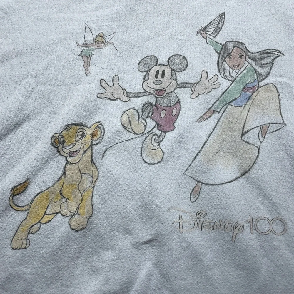 Disney 100 Anniversary Hoodie Youth XL Mickey Lion King Mulan Blue Sweatshirt